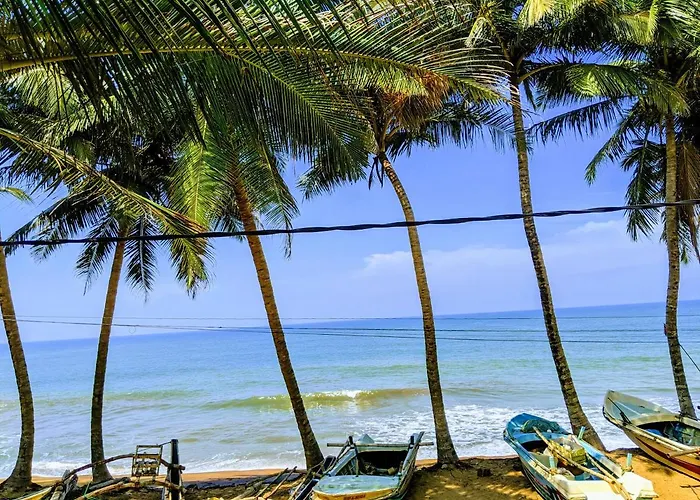 Amssler Beach Stay